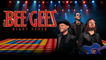 Bee Gees thumbnail