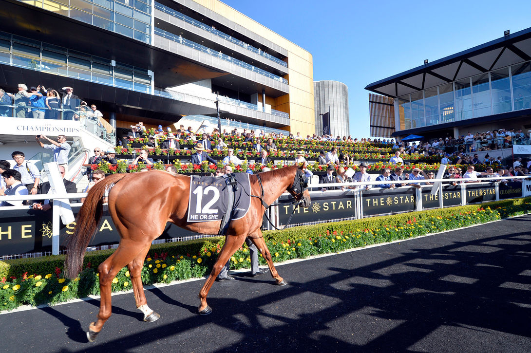 Autumn Racing Carnival